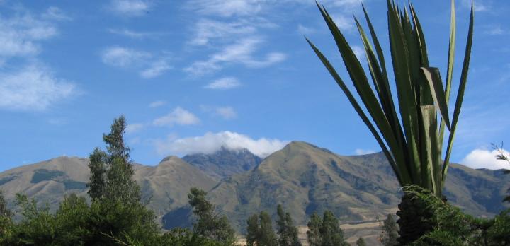 Voyage sur-mesure, Cotacachi (ville)